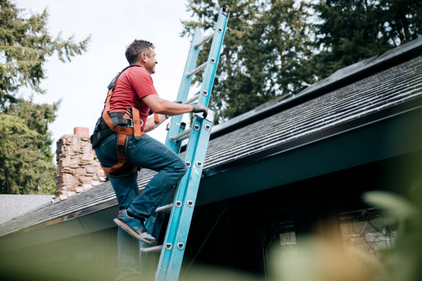 Roof Moss and Algae Removal in Brownwood, TX